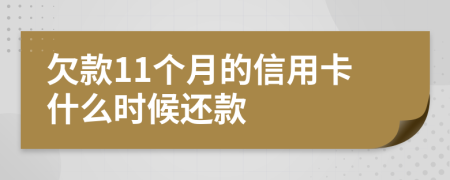 欠款11个月的信用卡什么时候还款