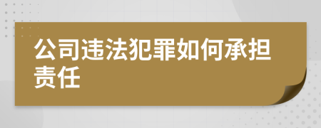 公司违法犯罪如何承担责任