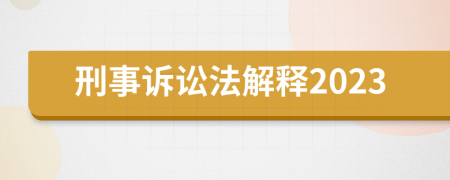 刑事诉讼法解释2023