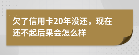 欠了信用卡20年没还，现在还不起后果会怎么样