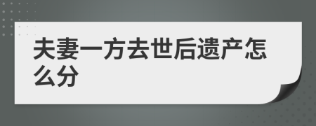 夫妻一方去世后遗产怎么分