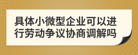 具体小微型企业可以进行劳动争议协商调解吗