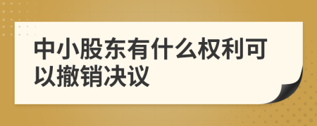 中小股东有什么权利可以撤销决议