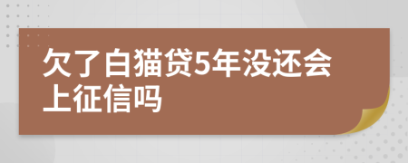 欠了白猫贷5年没还会上征信吗