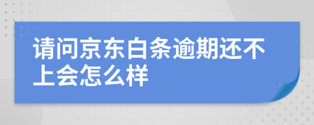 请问京东白条逾期还不上会怎么样