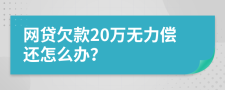 网贷欠款20万无力偿还怎么办？