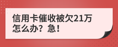 信用卡催收被欠21万怎么办？急！