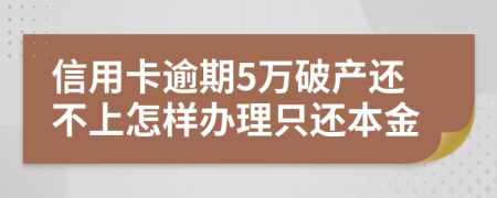 信用卡逾期5万破产还不上怎样办理只还本金