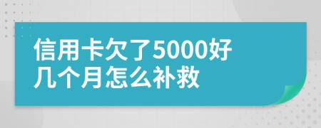 信用卡欠了5000好几个月怎么补救