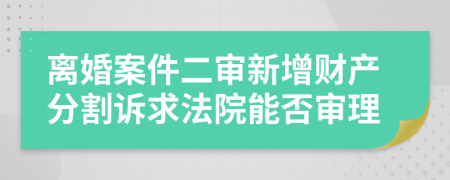 离婚案件二审新增财产分割诉求法院能否审理