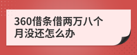 360借条借两万八个月没还怎么办