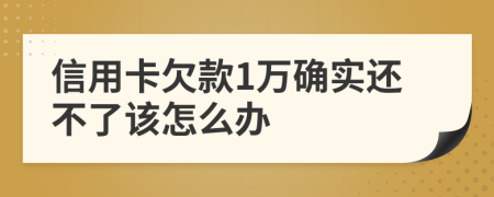 信用卡欠款1万确实还不了该怎么办