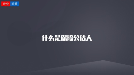 什么是保险公估人