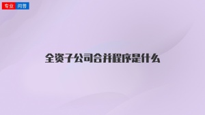 全资子公司合并程序是什么