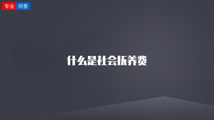 什么是社会抚养费