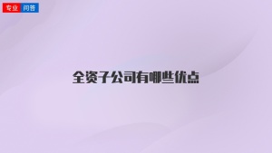 全资子公司有哪些优点