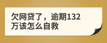 欠网贷了，逾期132万该怎么自救