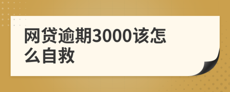 网贷逾期3000该怎么自救