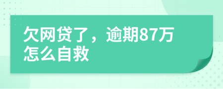 欠网贷了，逾期87万怎么自救