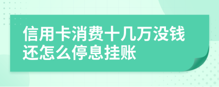 信用卡消费十几万没钱还怎么停息挂账