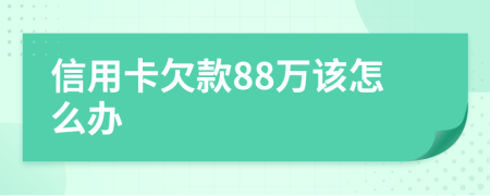 信用卡欠款88万该怎么办