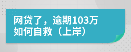 网贷了，逾期103万如何自救（上岸）
