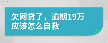 欠网贷了，逾期19万应该怎么自救