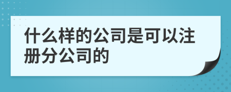 什么样的公司是可以注册分公司的