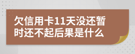 欠信用卡11天没还暂时还不起后果是什么