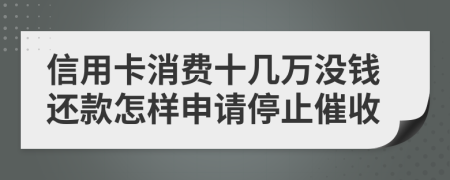 信用卡消费十几万没钱还款怎样申请停止催收