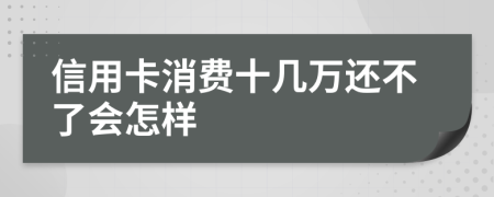 信用卡消费十几万还不了会怎样