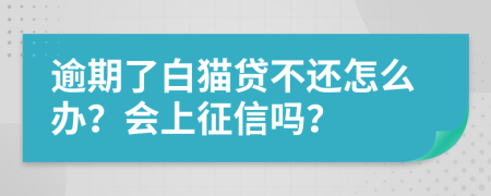 逾期了白猫贷不还怎么办？会上征信吗？