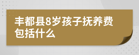 丰都县8岁孩子抚养费包括什么