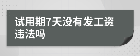 试用期7天没有发工资违法吗