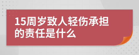 15周岁致人轻伤承担的责任是什么