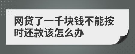 网贷了一千块钱不能按时还款该怎么办