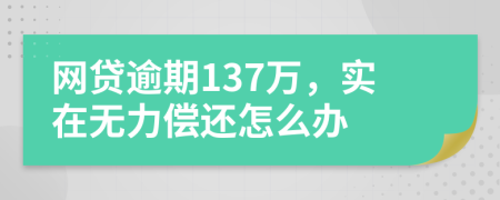 网贷逾期137万，实在无力偿还怎么办