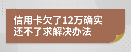 信用卡欠了12万确实还不了求解决办法