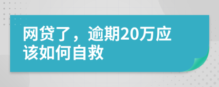 网贷了，逾期20万应该如何自救