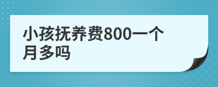 小孩抚养费800一个月多吗