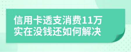 信用卡透支消费11万实在没钱还如何解决