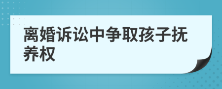 离婚诉讼中争取孩子抚养权