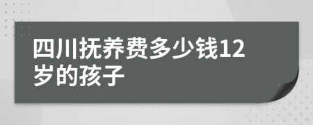 四川抚养费多少钱12岁的孩子