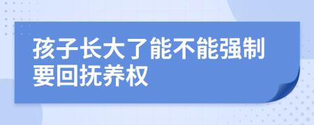 孩子长大了能不能强制要回抚养权