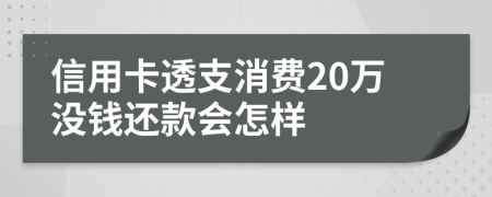 信用卡透支消费20万没钱还款会怎样