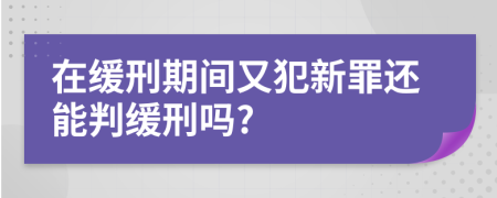 在缓刑期间又犯新罪还能判缓刑吗?