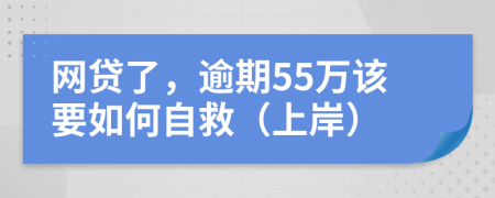 网贷了，逾期55万该要如何自救（上岸）