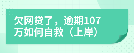 欠网贷了，逾期107万如何自救（上岸）