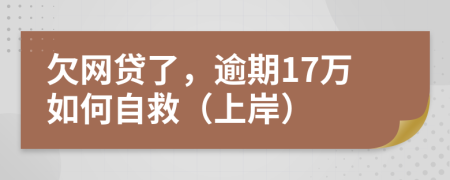 欠网贷了，逾期17万如何自救（上岸）