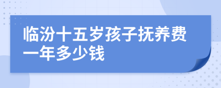 临汾十五岁孩子抚养费一年多少钱